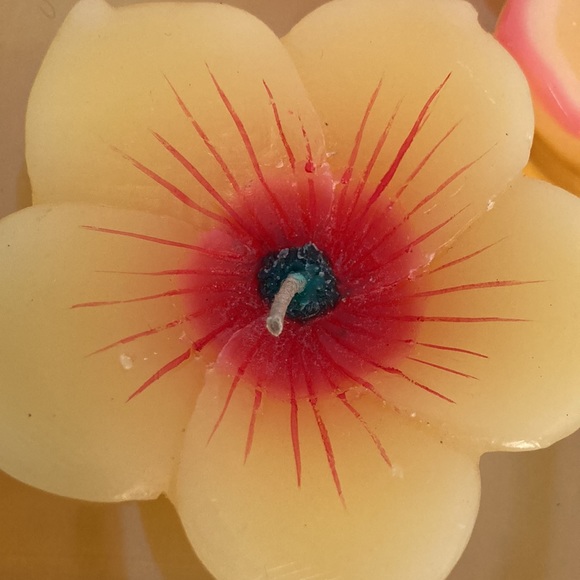 Crate&Barrel flower floating candles New in box - Picture 14 of 16